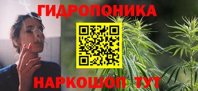 гидропоника Дубна